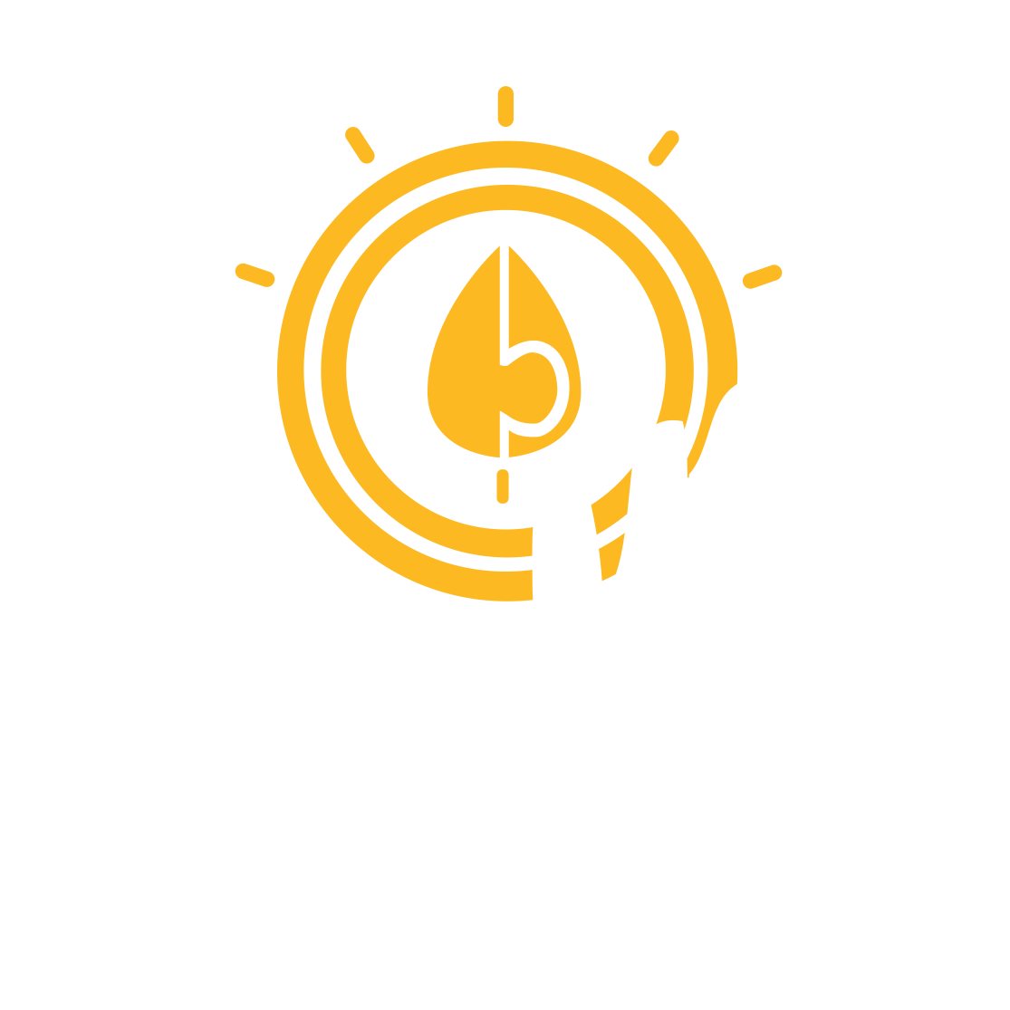 Solvion Coin Logo